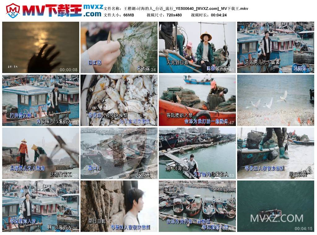 王楷湖-讨海的人_台语_流行_YE500640